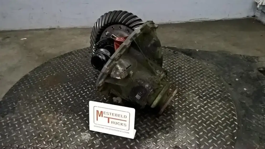 DAF Differentieel 1347 - 3.07