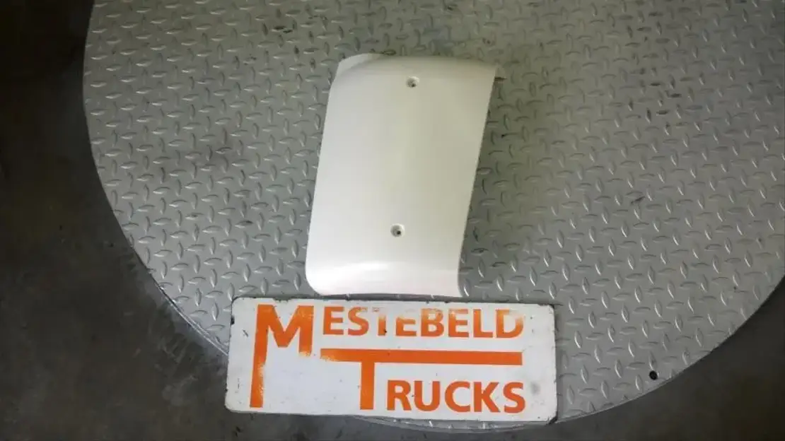 DAF Windgeleider links