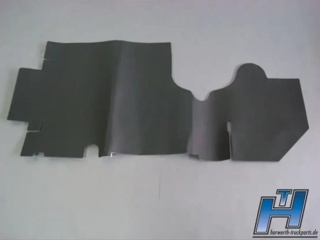 DAF Folie Tür LI 1905145 XF106