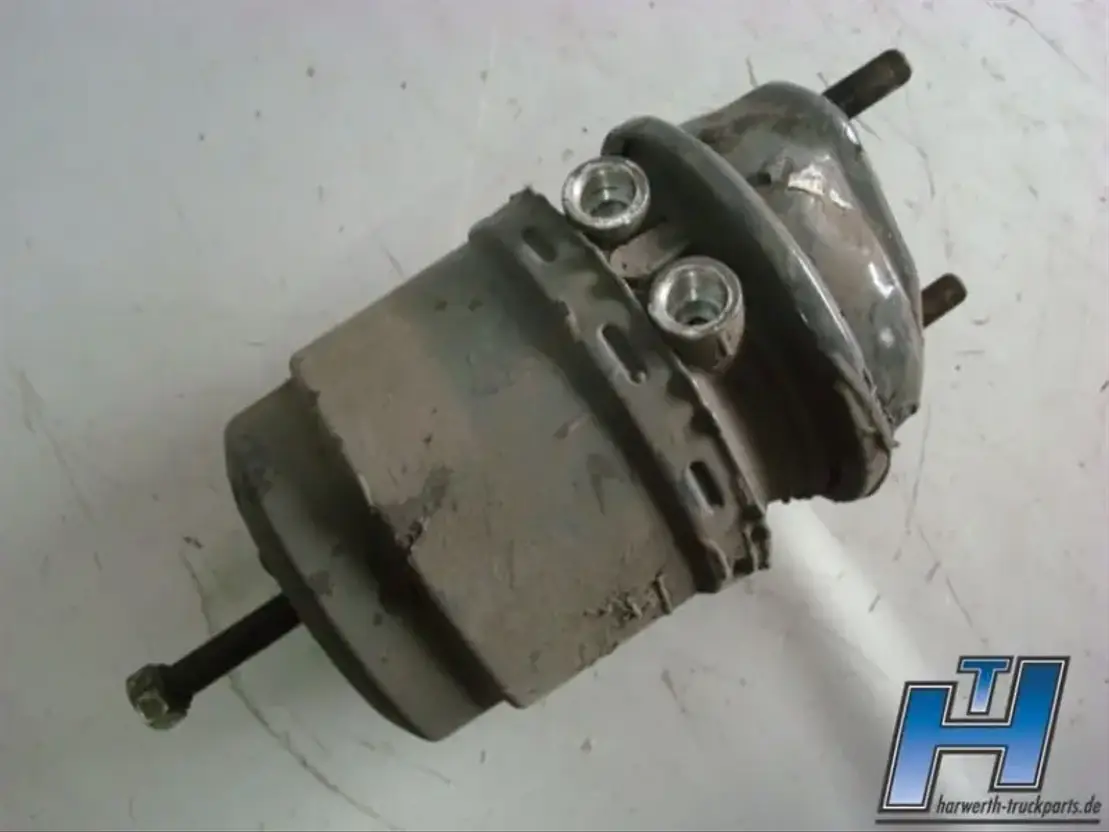 DAF Federspeicherzylinder LI 1686001 XF105