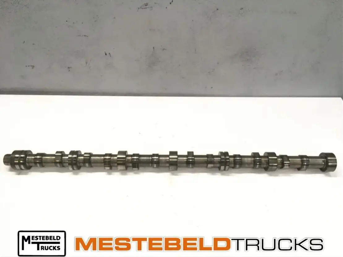 DAF Nokkenas XE315 C1, euro 3