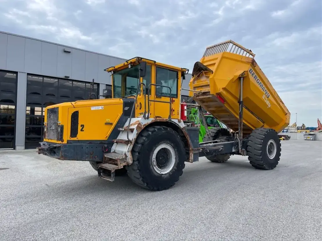 Bergmann 5025HK Plus 4x4