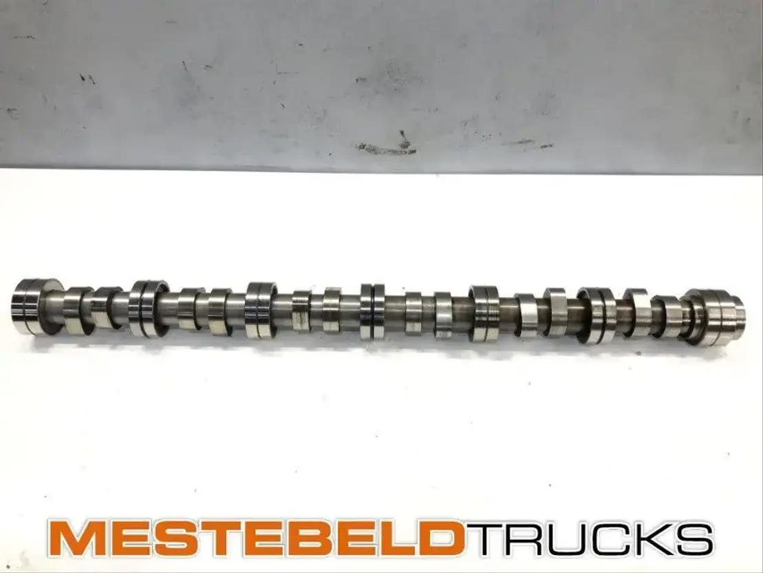 Scania Nokkenas DC 13 155