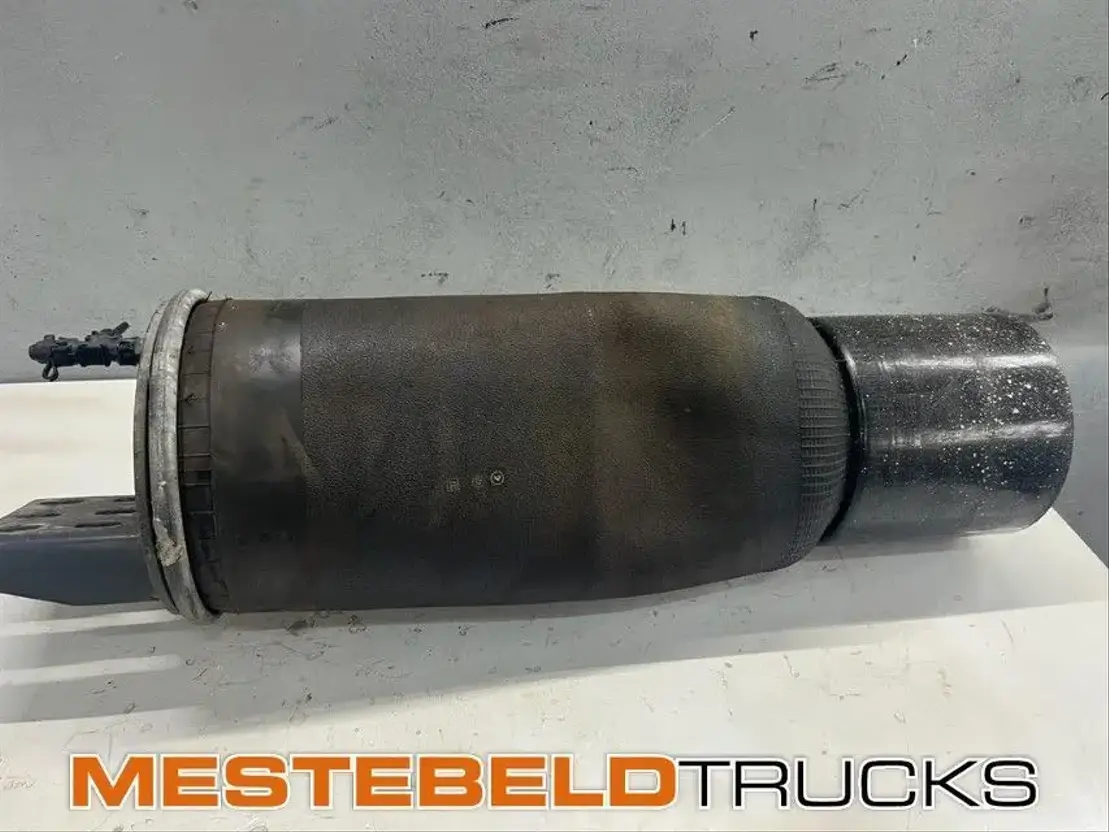 Renault Luchtbalg achteras