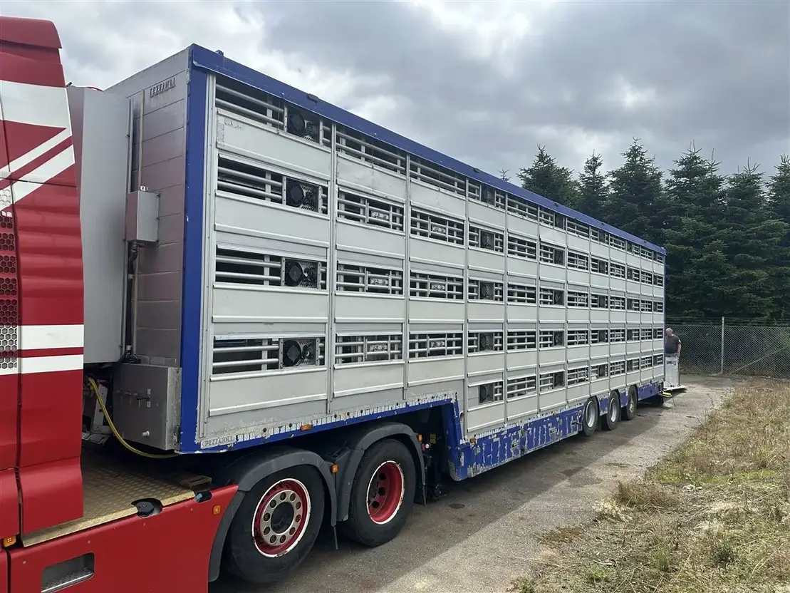 Pezzaioli 5-stock Grise trailer